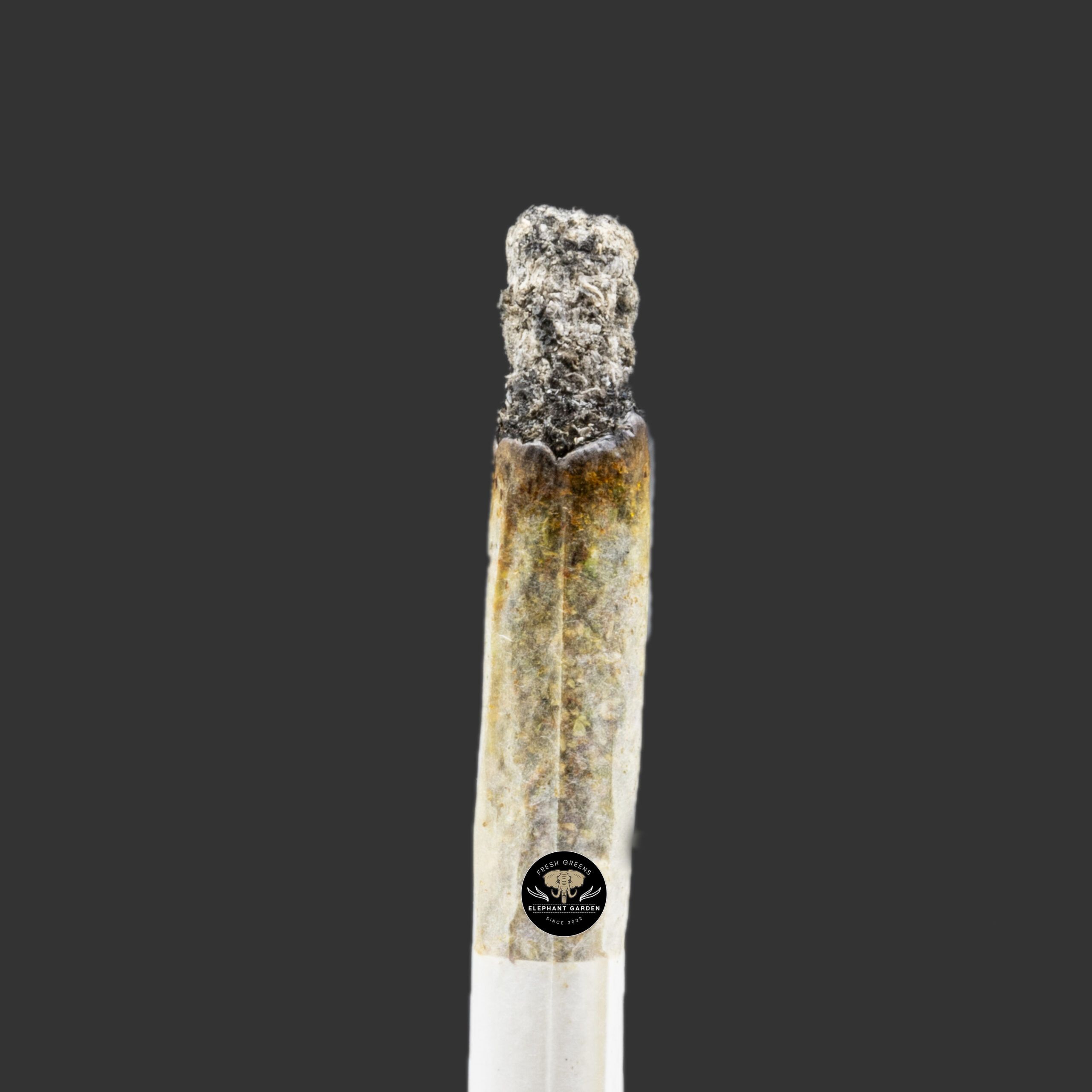 Buy Black Cherry at Elephant Garden Co Weed Dispensary Burn Test