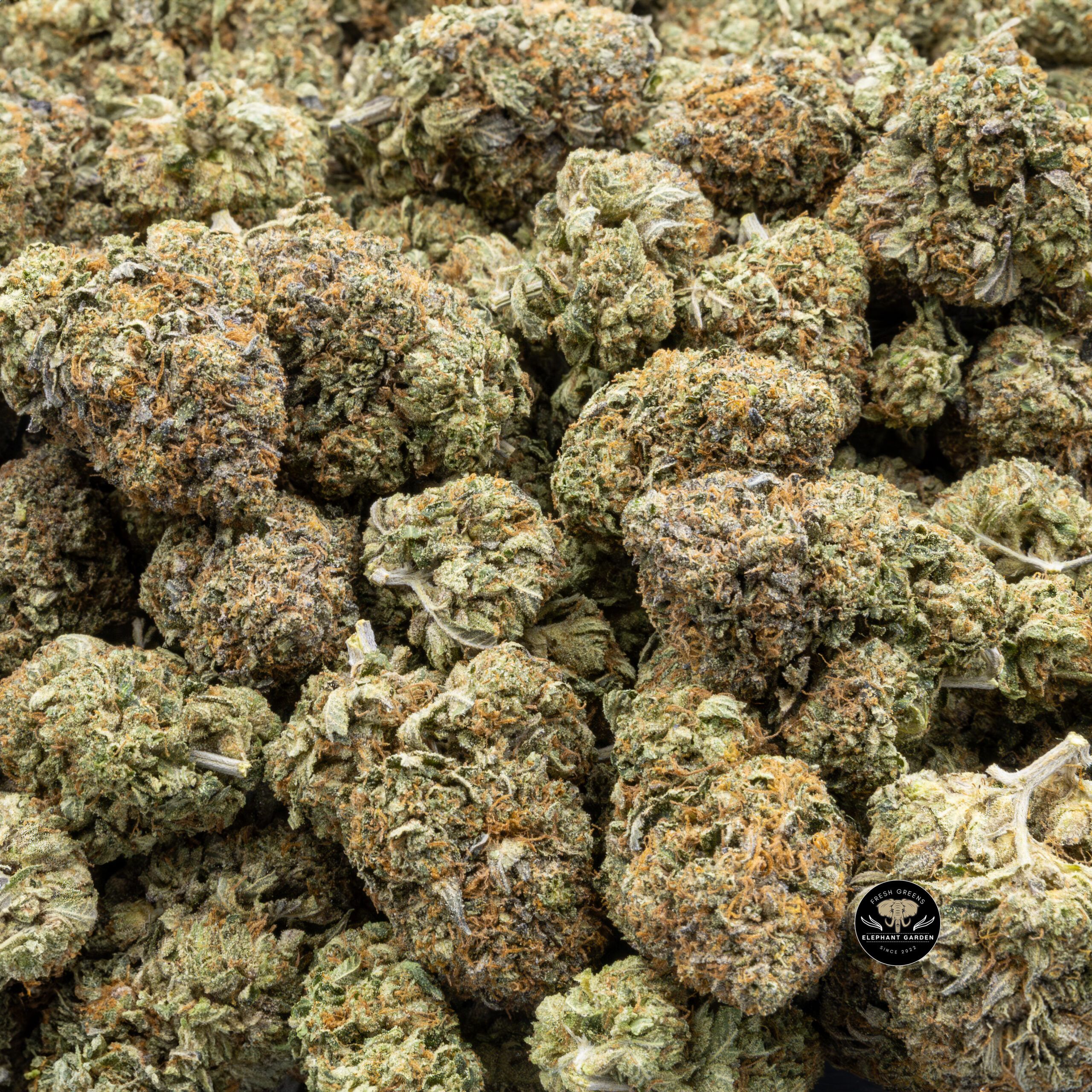 Buy Dark Star at Elephant Garden Co Weed Dispensary Bulk 2