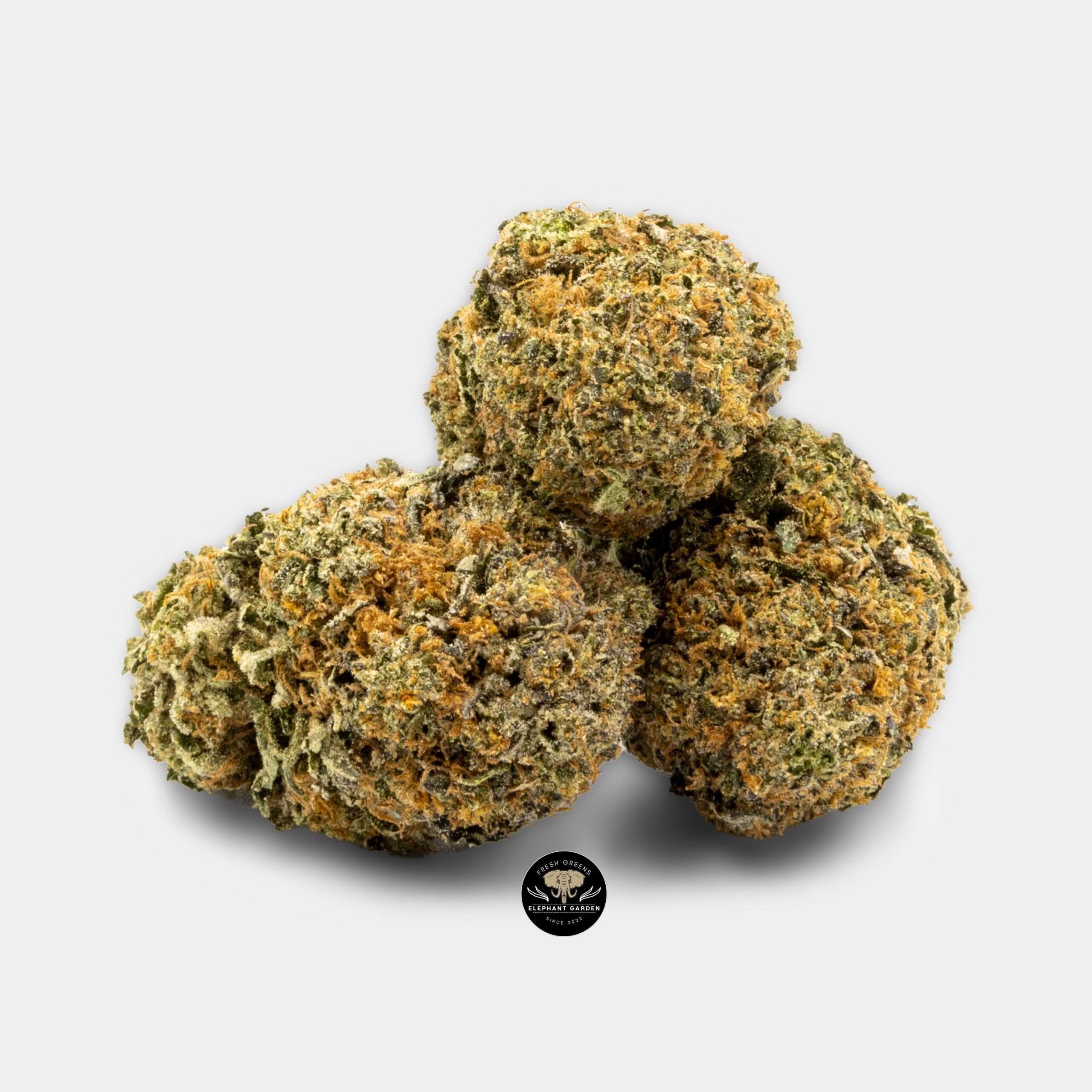 Buy Dark Star at Elephant Garden Co Weed Dispensary Bundle