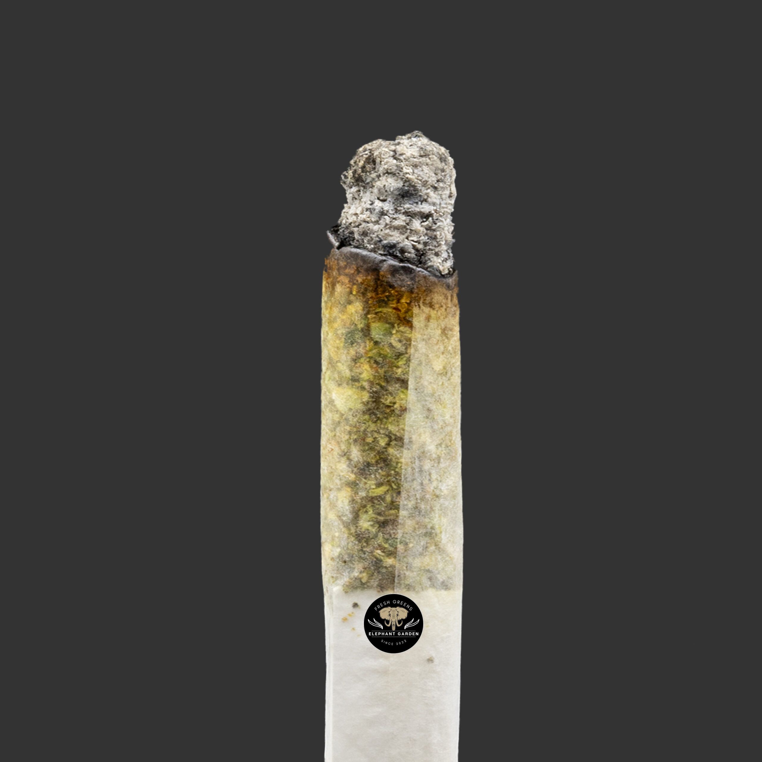 Buy Dark Star at Elephant Garden Co Weed Dispensary Burn Test