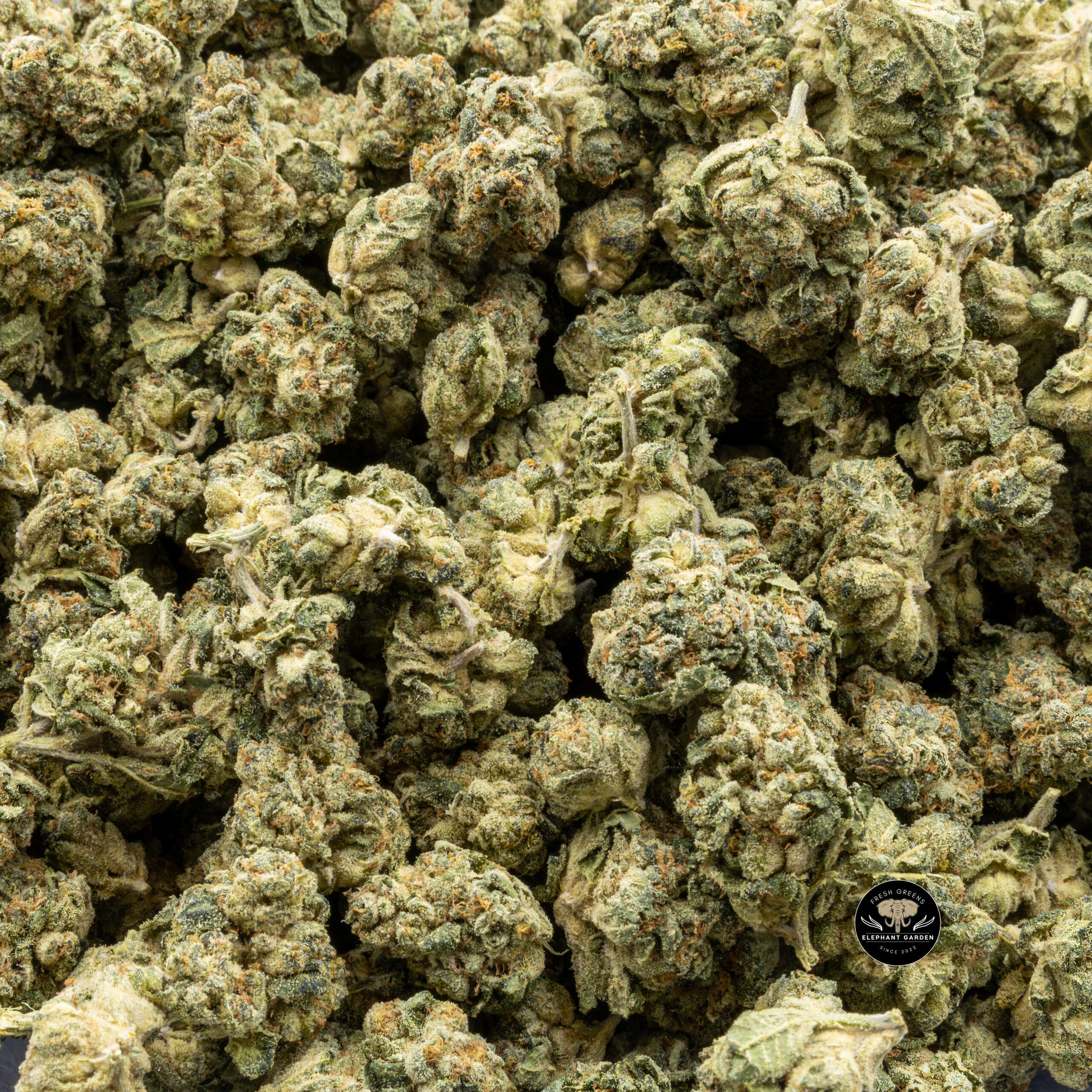 Buy Jungle Cake at Elephant Garden Co Weed Dispensary Bulk 7.25.2023