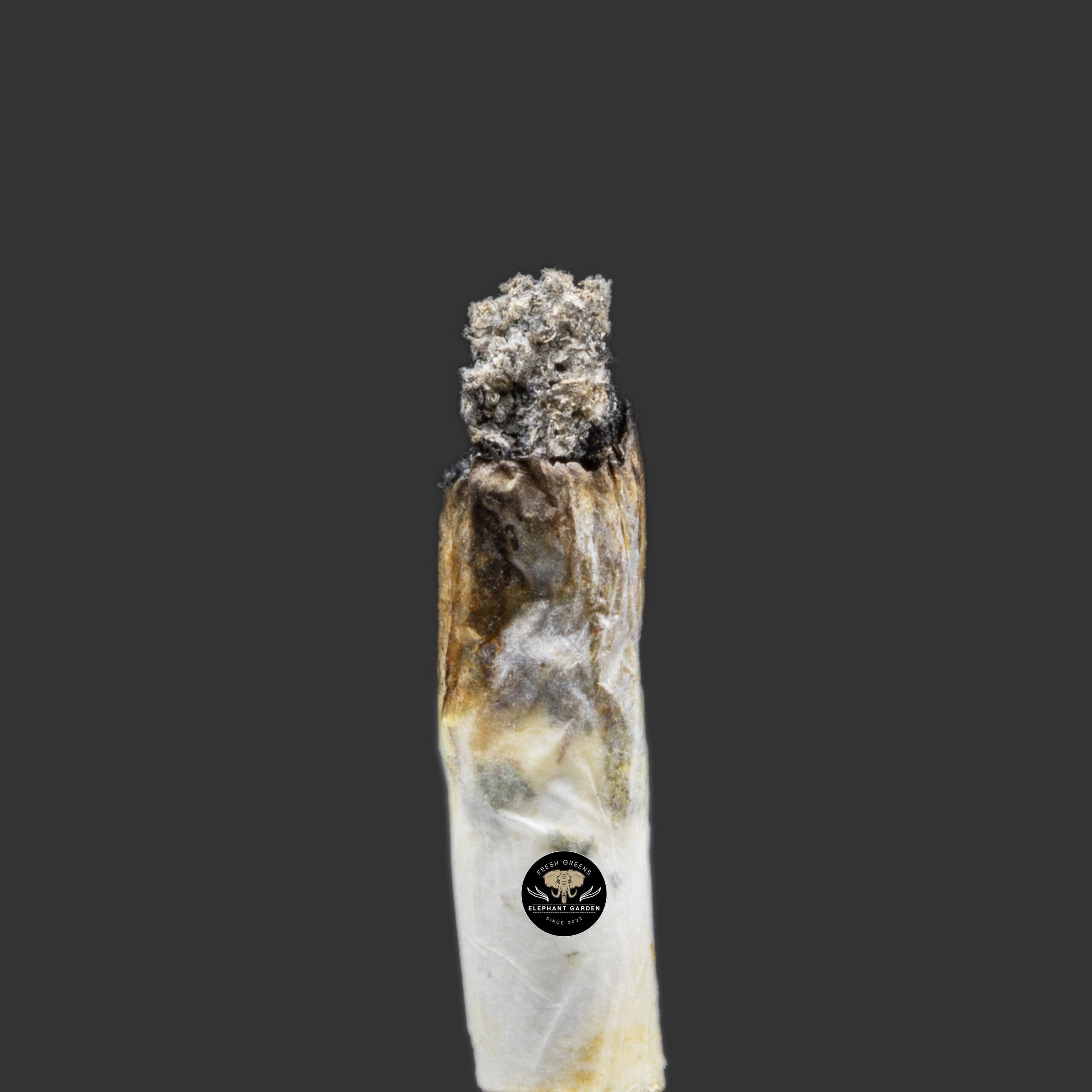Buy Jungle Cake at Elephant Garden Co Weed Dispensary Burn Test 7.25.2023 2