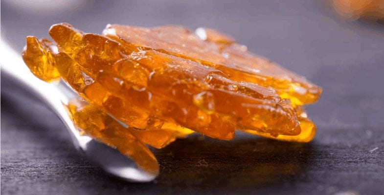 Treasure seekers, ahoy! The secret way to 'the "high"-way of happiness' is finally the moment of truth.