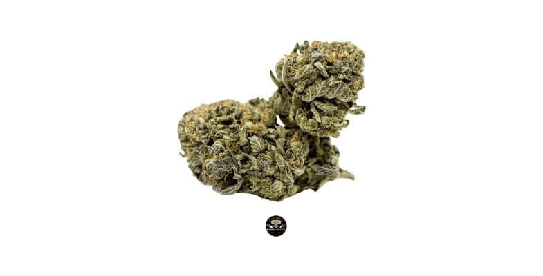The Blueberry Rockstar strain is a pretty hard one to come by. But don't fret, Rockstar Bubba is an excellent alternative from the same lineage and with almost similar effects.