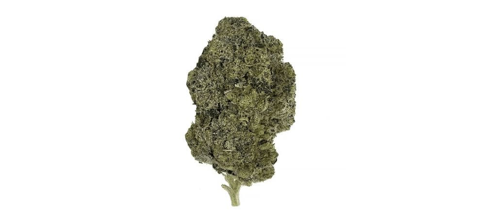 The Blueberry Rockstar Strain