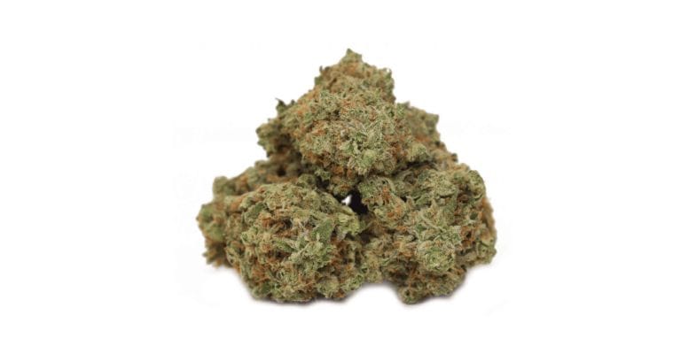 The Tropicana Banana strain is another salivating relative of the OG.