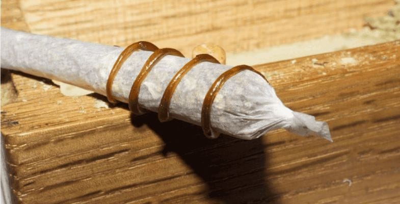 This is an easy and convenient way to consume shatter, especially for those already familiar with smoking cannabis the old-fashioned way: