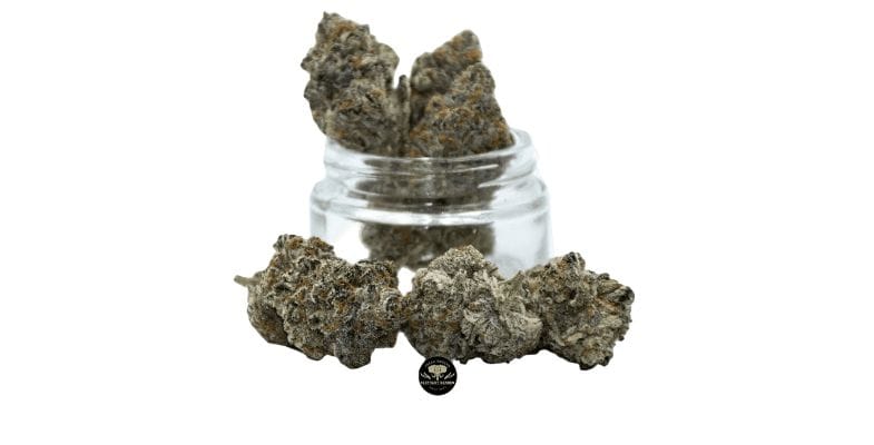 Every now and then we find ourselves needing a cerebral kick with an added site of boosted creativity. cannabis online canada