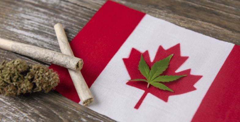 If you've ever considered the option to buy cannabis online in Canada, you've probably heard that Canadian cannabis has a bit of a legendary reputation.  