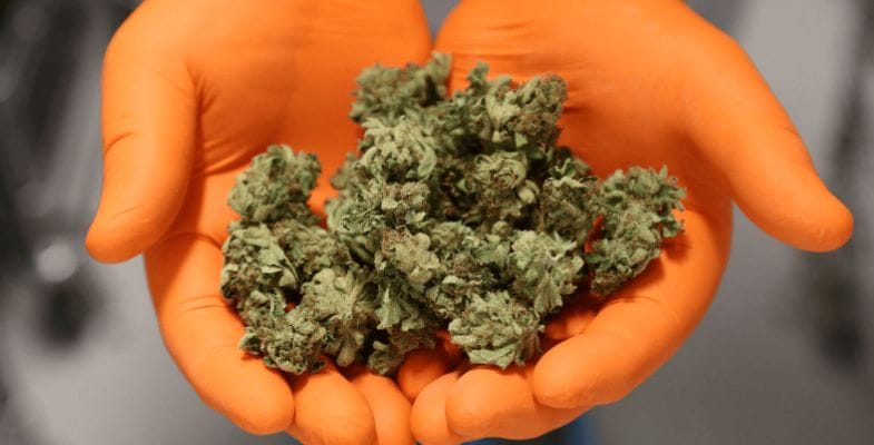 When you decide to buy cannabis online in Canada, you're not limited by a brick-and-mortar store's physical constraints.  