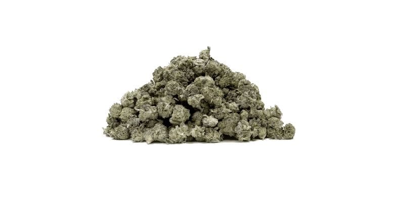 As we wrap up our deep dive into the Goudaberry strain, we hope you've come to appreciate the unique tapestry of effects, flavours, and aromas this strain brings to the table.  