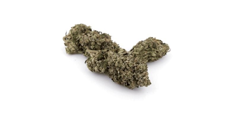 One captivating aspect of the Lindsay OG strain is its alluring appearance, enticing users with its striking visual appeal.