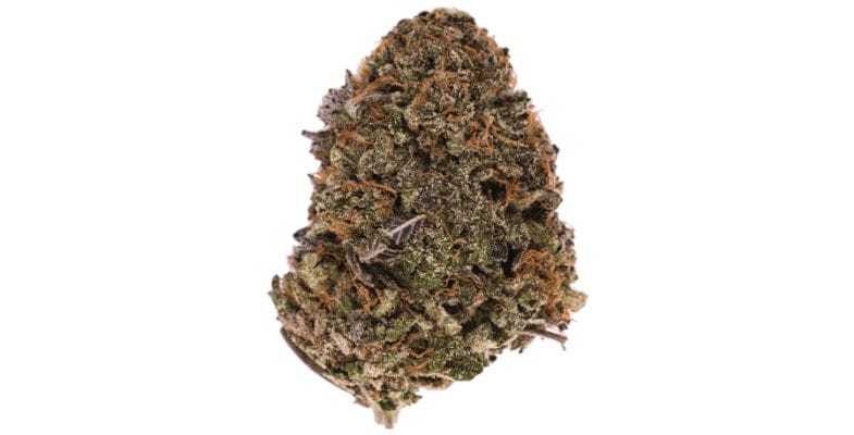 Lindsay OG is an Indica hybrid that elicits an intense body high, able to knock out even the most experienced user into a couch lock.  