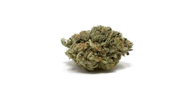 Users seeking relief from specific conditions may find value in exploring the therapeutic benefits of Lindsay OG.