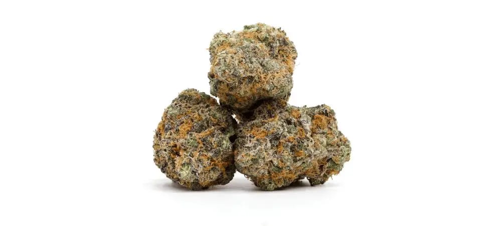 Lindsay OG Strain Review