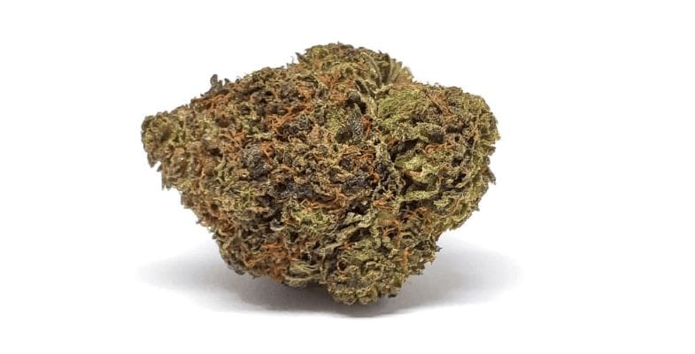 Terpenes are aromatic oils that give Lindsay OG strain its distinct aroma.