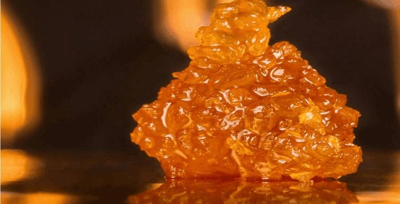 Prepare your sense to get ignited and let your curiosity pique as we demystify the question, what is live resin?