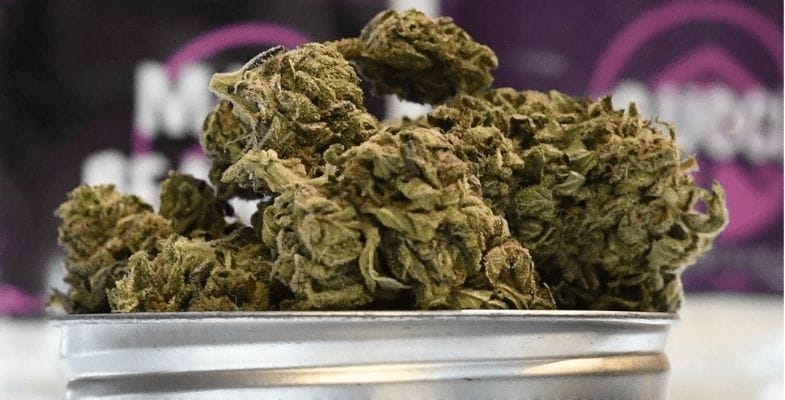 Choosing to buy cannabis online Canada also introduces you to a world teeming with variety.