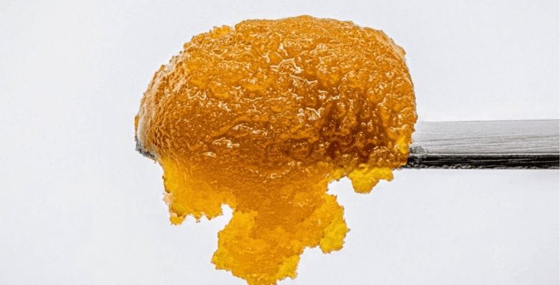 Colorado has been at the forefront of canna-revolution. The cannabis community of Colorado was at the forefront of cannabis legalization too.