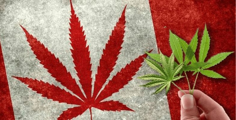 Choosing to buy cannabis online in Canada is about much more than convenience and variety - it's also about revolutionizing your access to your favourite green products.  