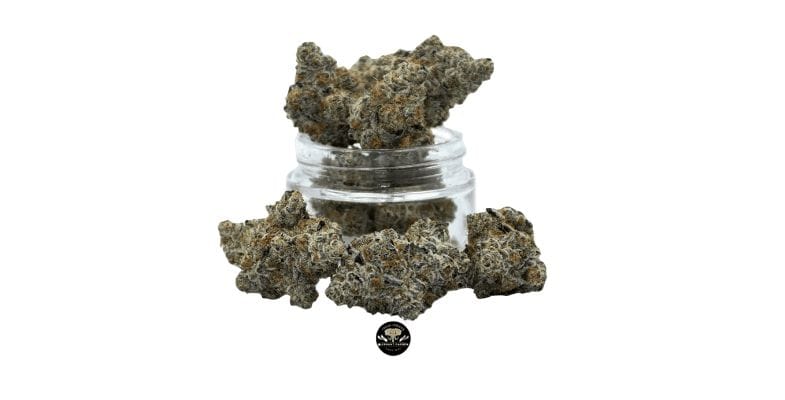 Zkittlez Cake is an indica-leaning hybrid cannabis strain, born from the intriguing genetic blend of Zkittlez and Wedding Cake.  