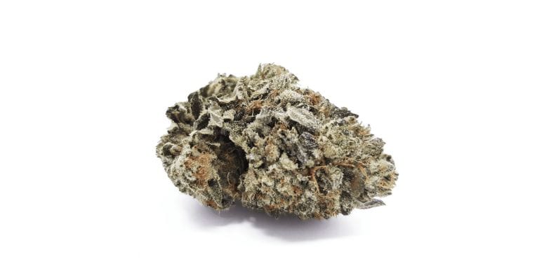 The Lindsay OG strain is a cannabis classic with a captivating appearance, aroma, and flavour.  