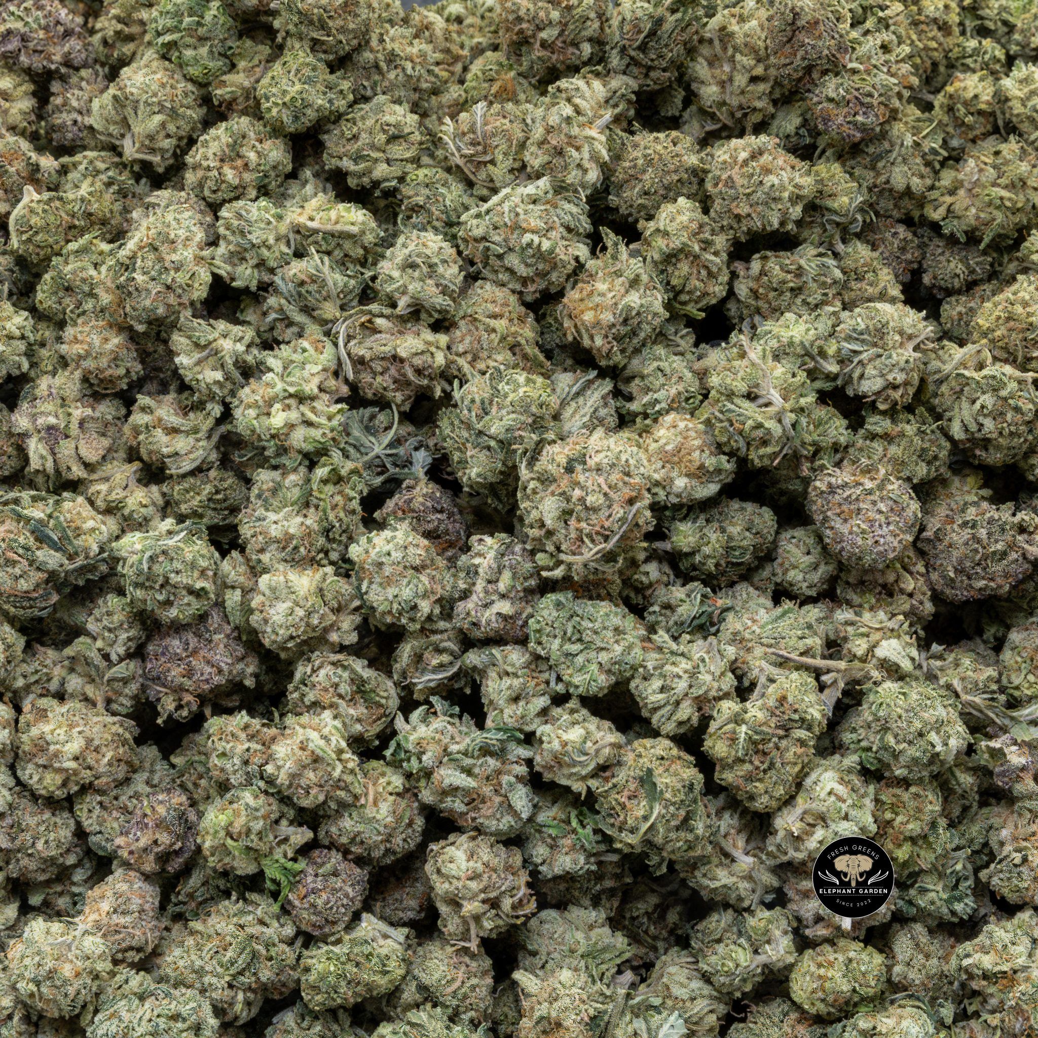 Buy Cherry Durban Poison (Bulk) at Elephant Garden Co Weed Dispensary Close 5 16 2024