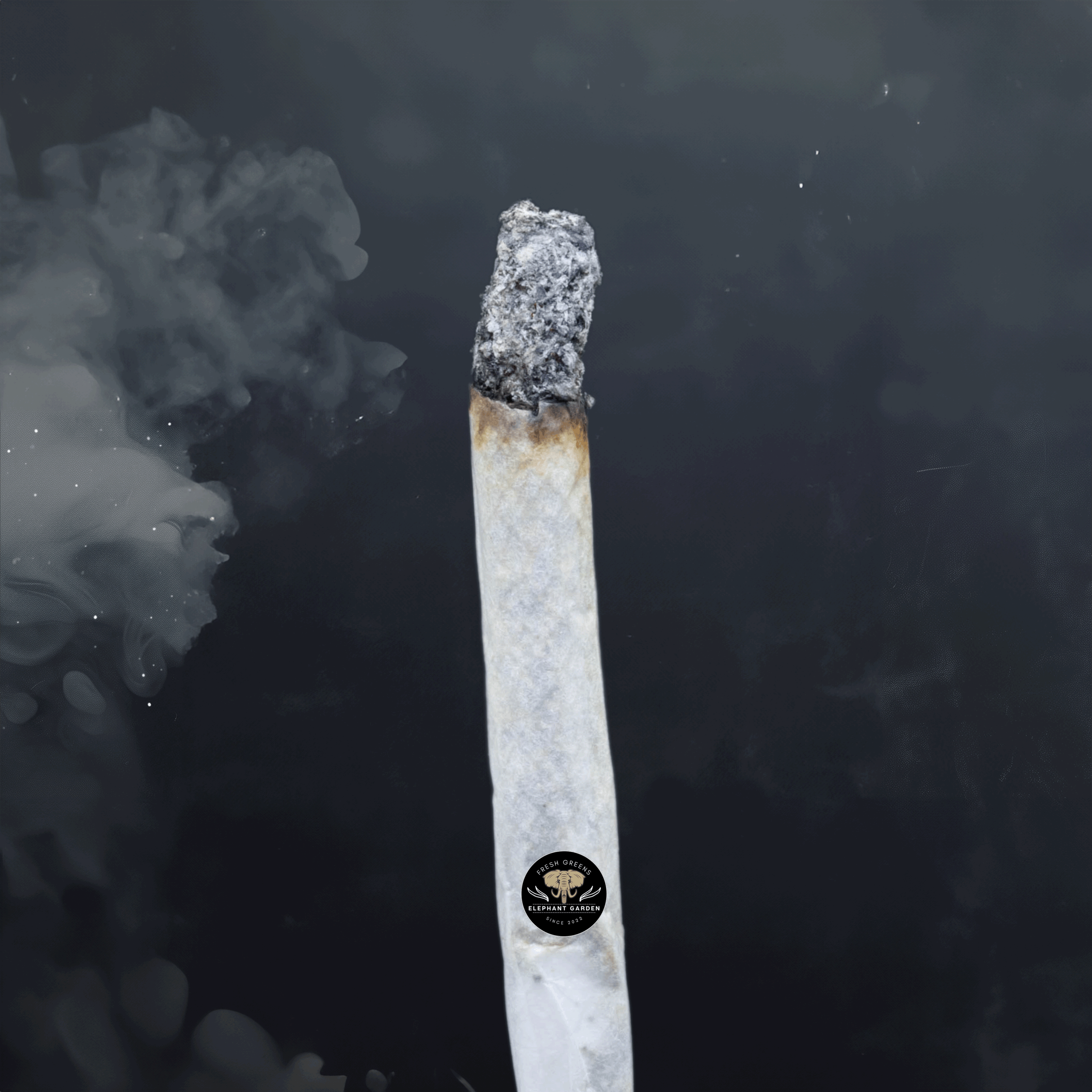Buy Cherry Durban Poison at Elephant Garden Co Weed Dispensary Burn Test 5 21 2024 2