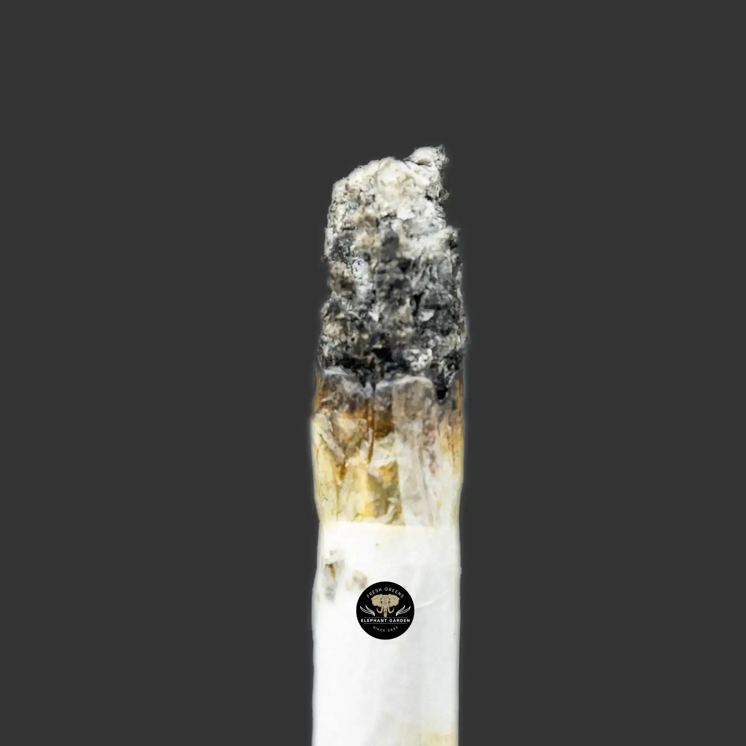Buy Gelato Pop at Elephant Garden Co Weed Dispensary Burn Test 9.12.2023 2