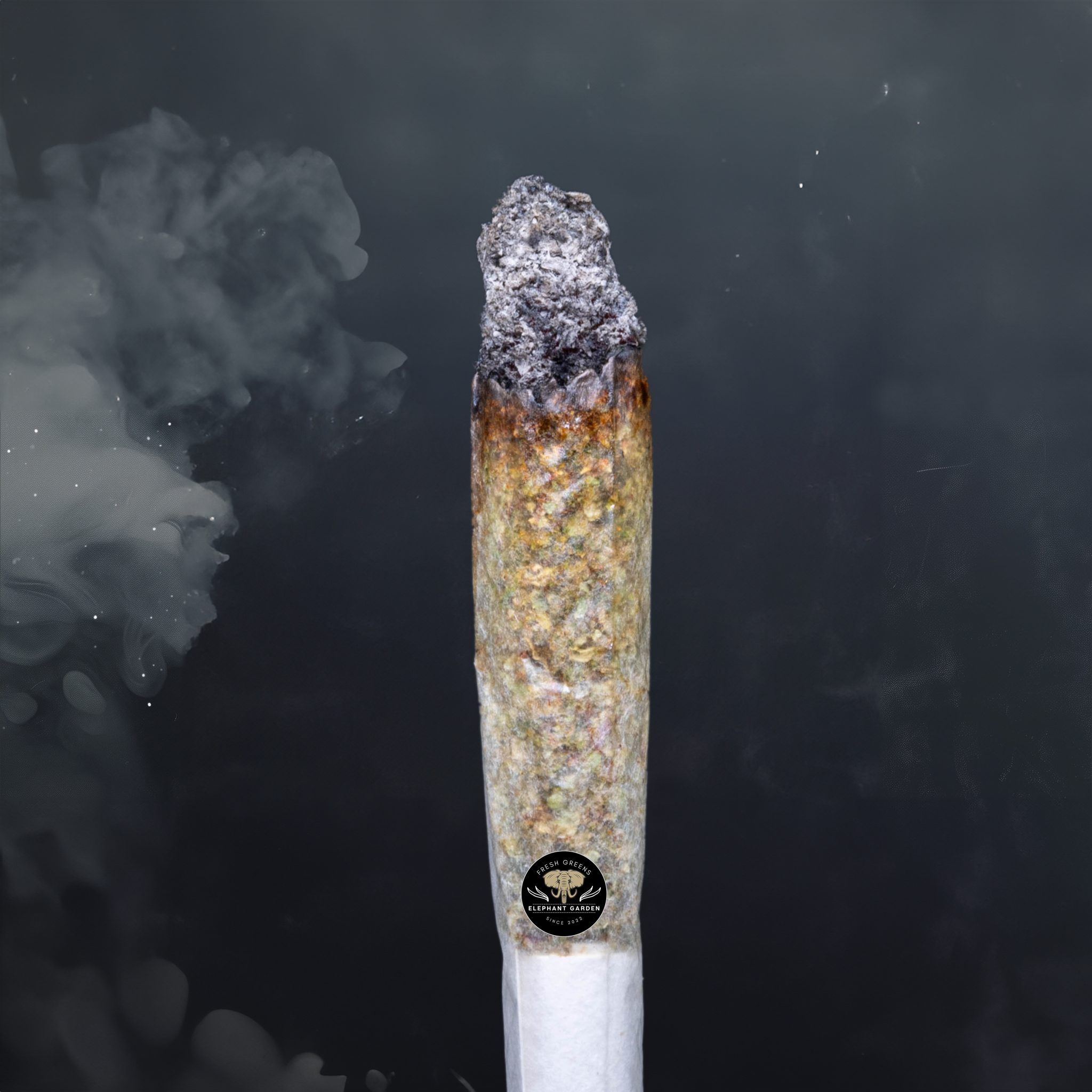 Buy Grape Cake at Elephant Garden Co Weed Dispensary Burn Test 8 7 2024 3