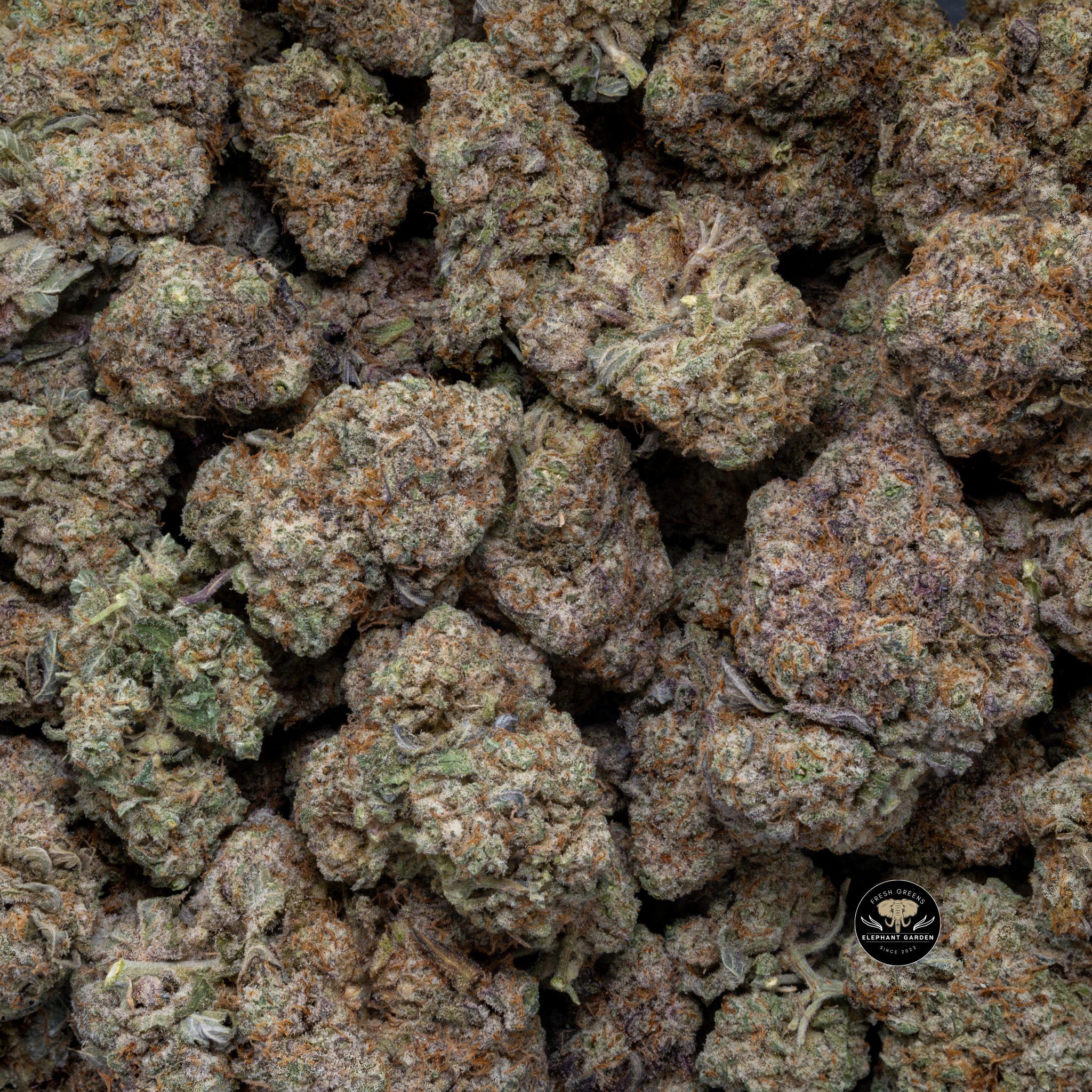 Buy Grape Cake at Elephant Garden Co Weed Dispensary Close 8 19 24 2