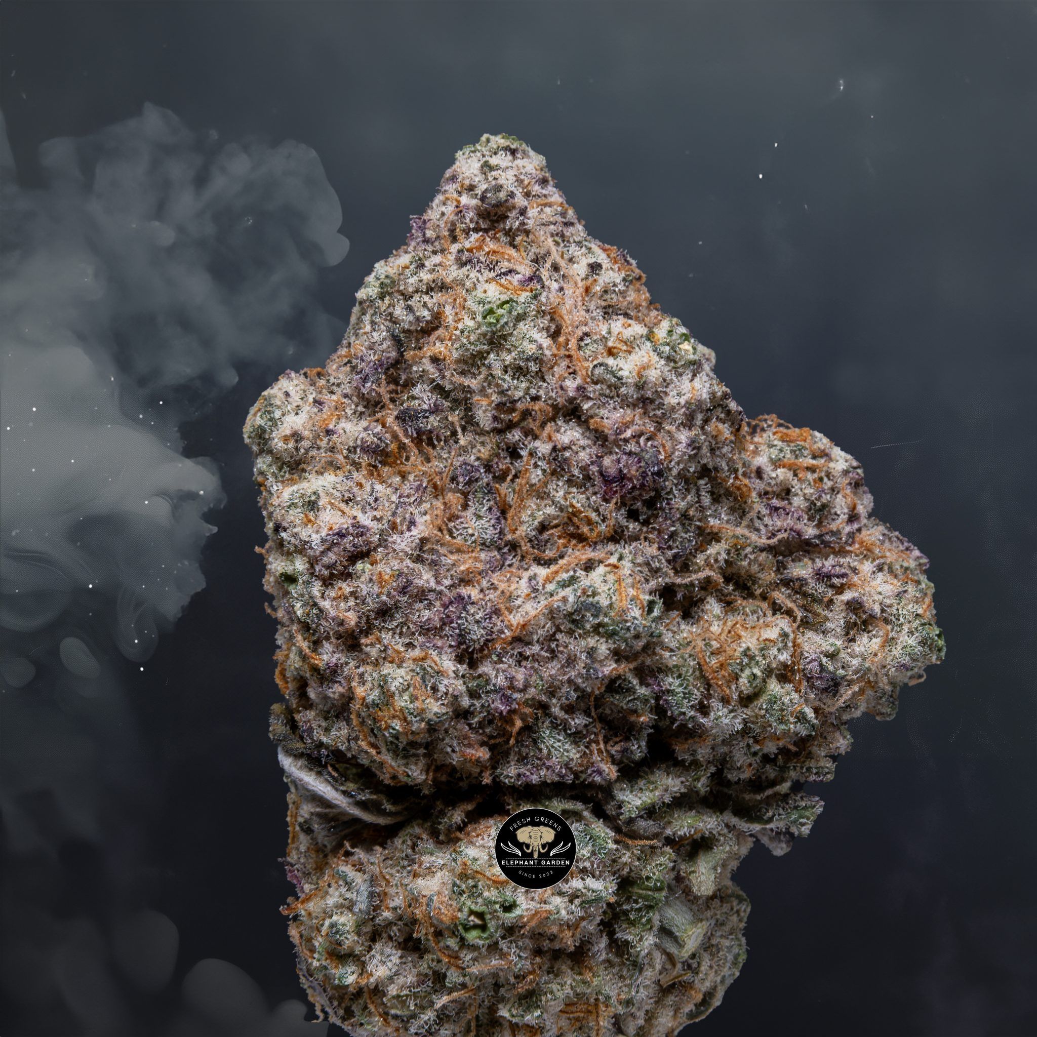 Buy Grape Cake at Elephant Garden Co Weed Dispensary Close 8 7 24 2