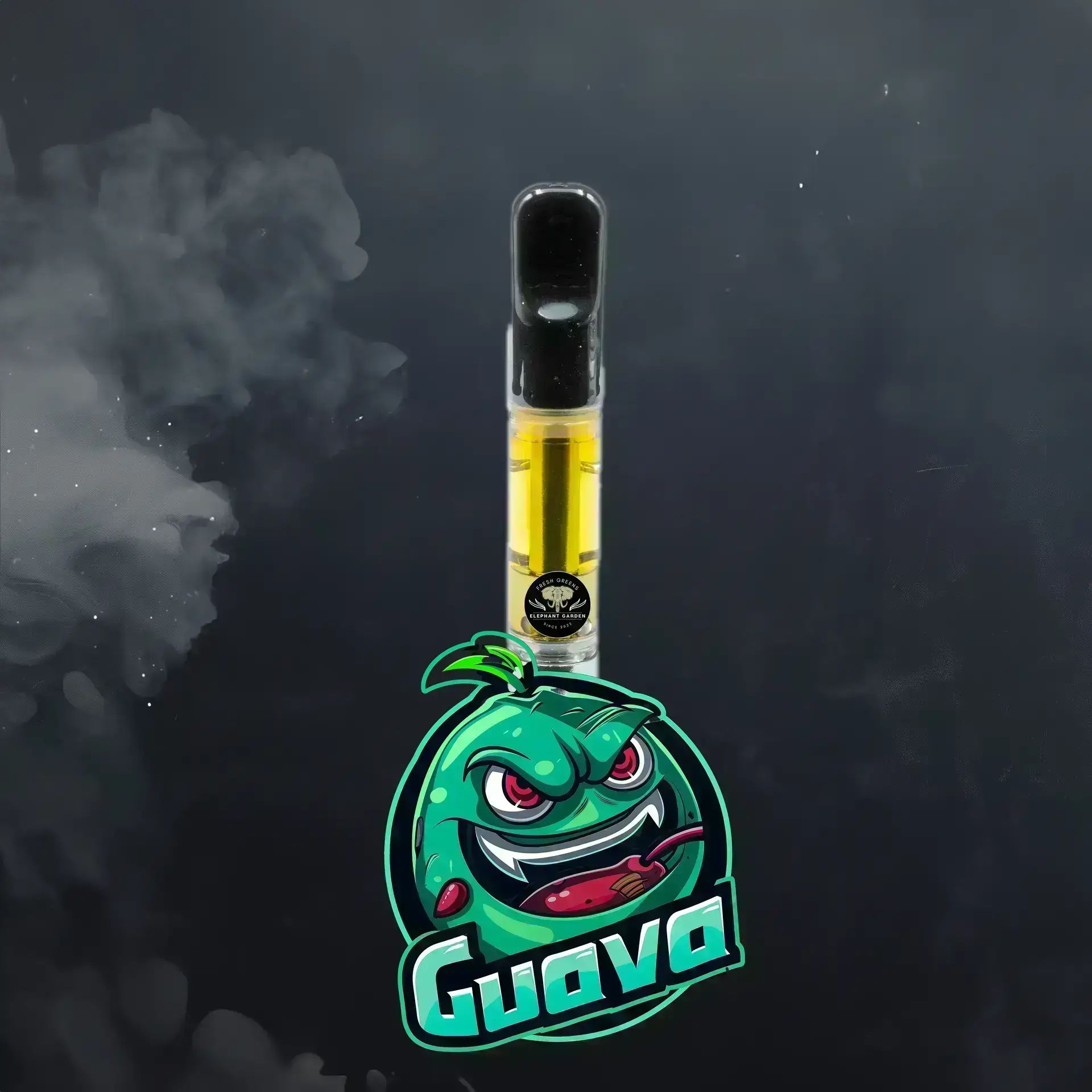 Buy Guava Vape at Elephant Garden Co Weed Dispensary Burn Test 5 21 2024 2