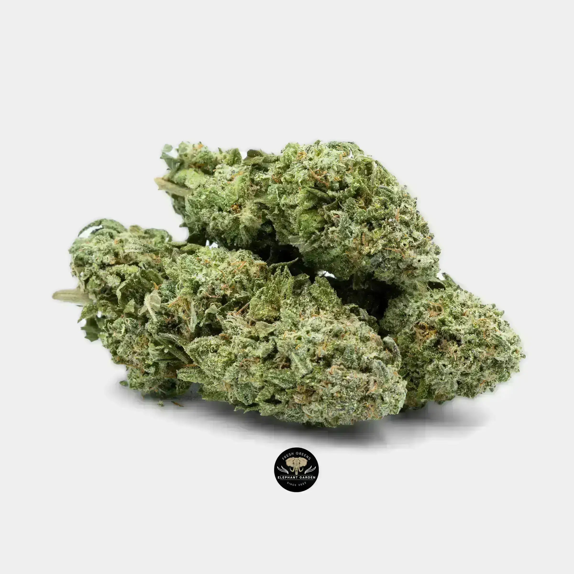 Buy JackFruit at Elephant Garden Co Weed Dispensary 9.20.2023