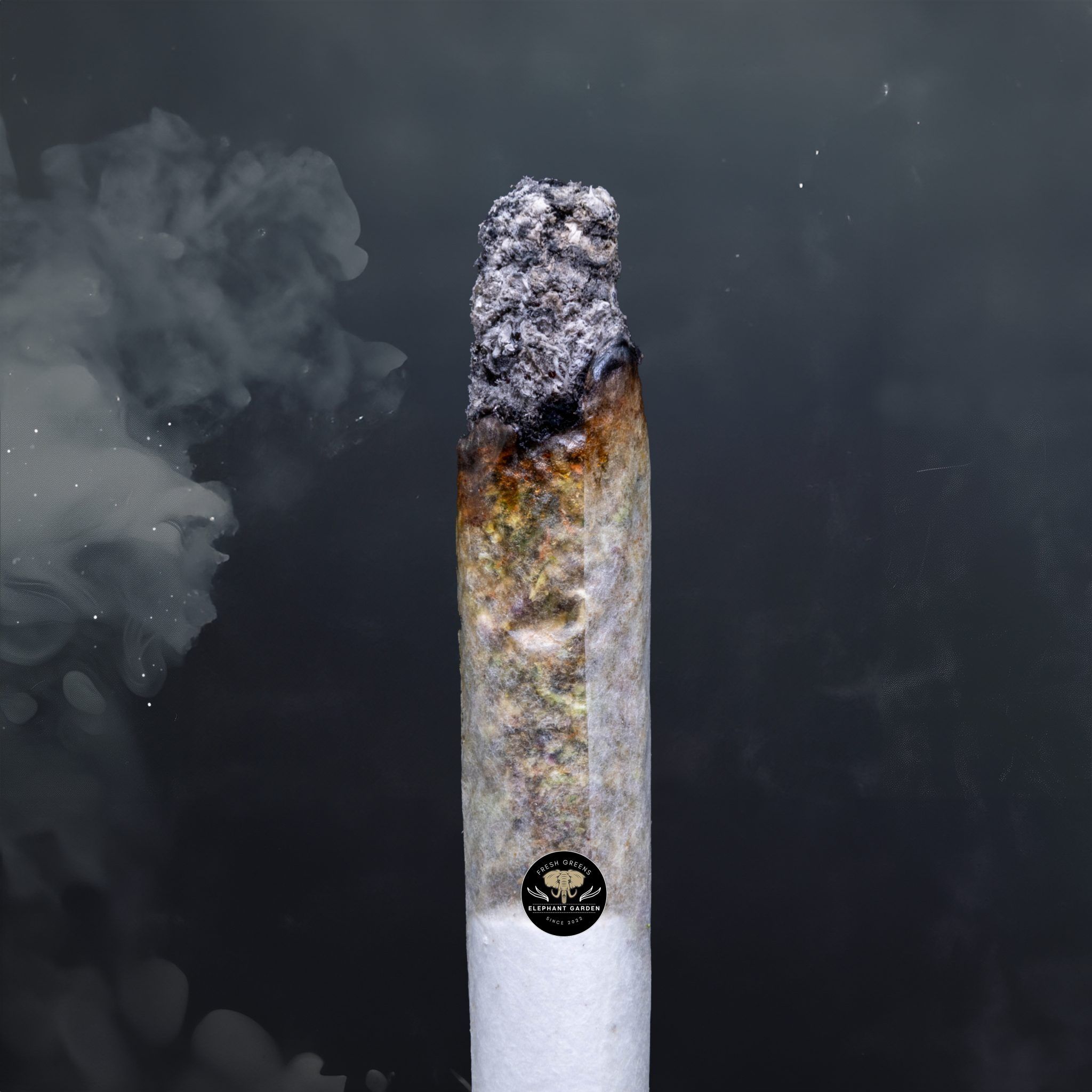 Oreoz (Bulk) - Hybrid - AAA+ - Image 2