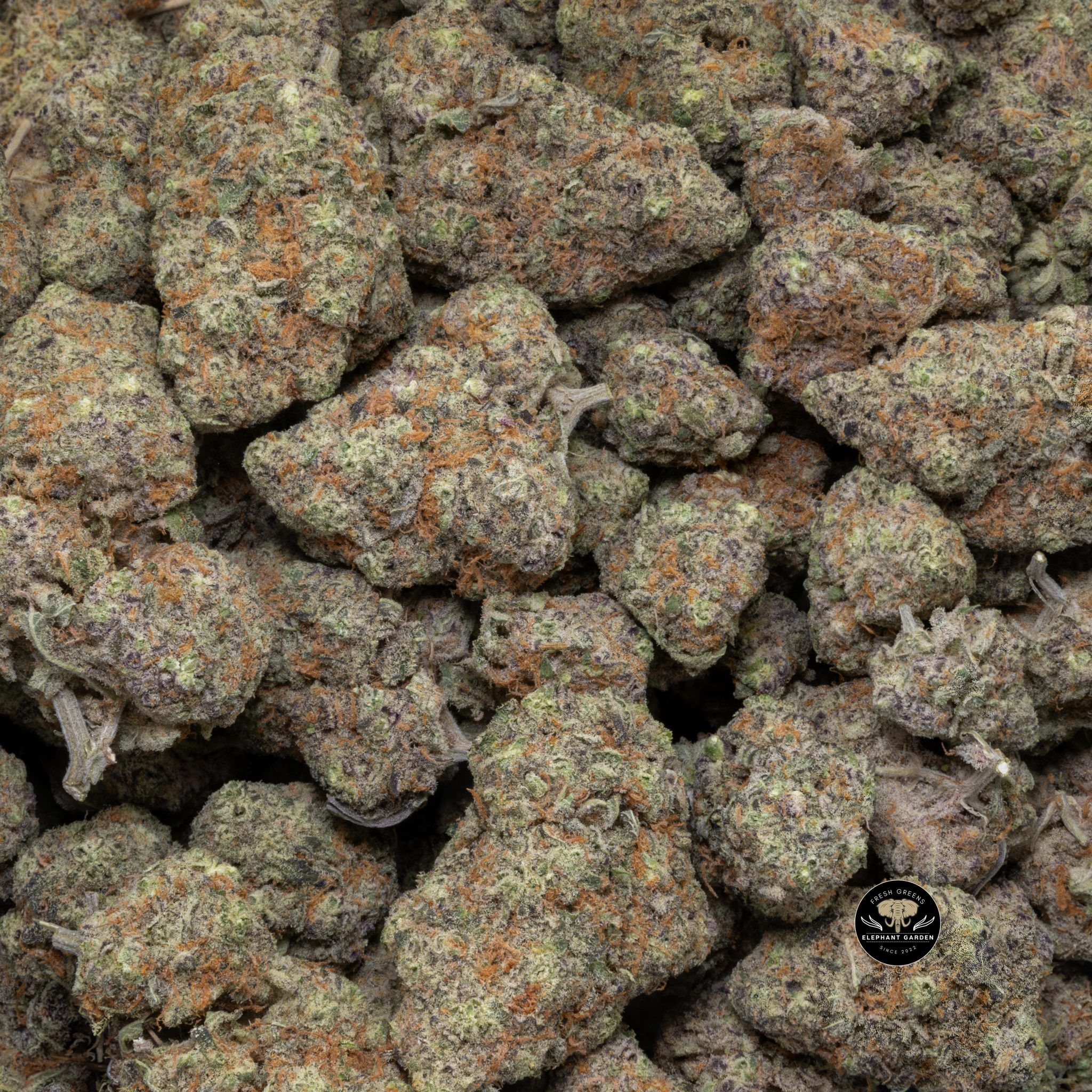Buy Oreo at Elephant Garden Co Weed Dispensary Close 8 19 24 2