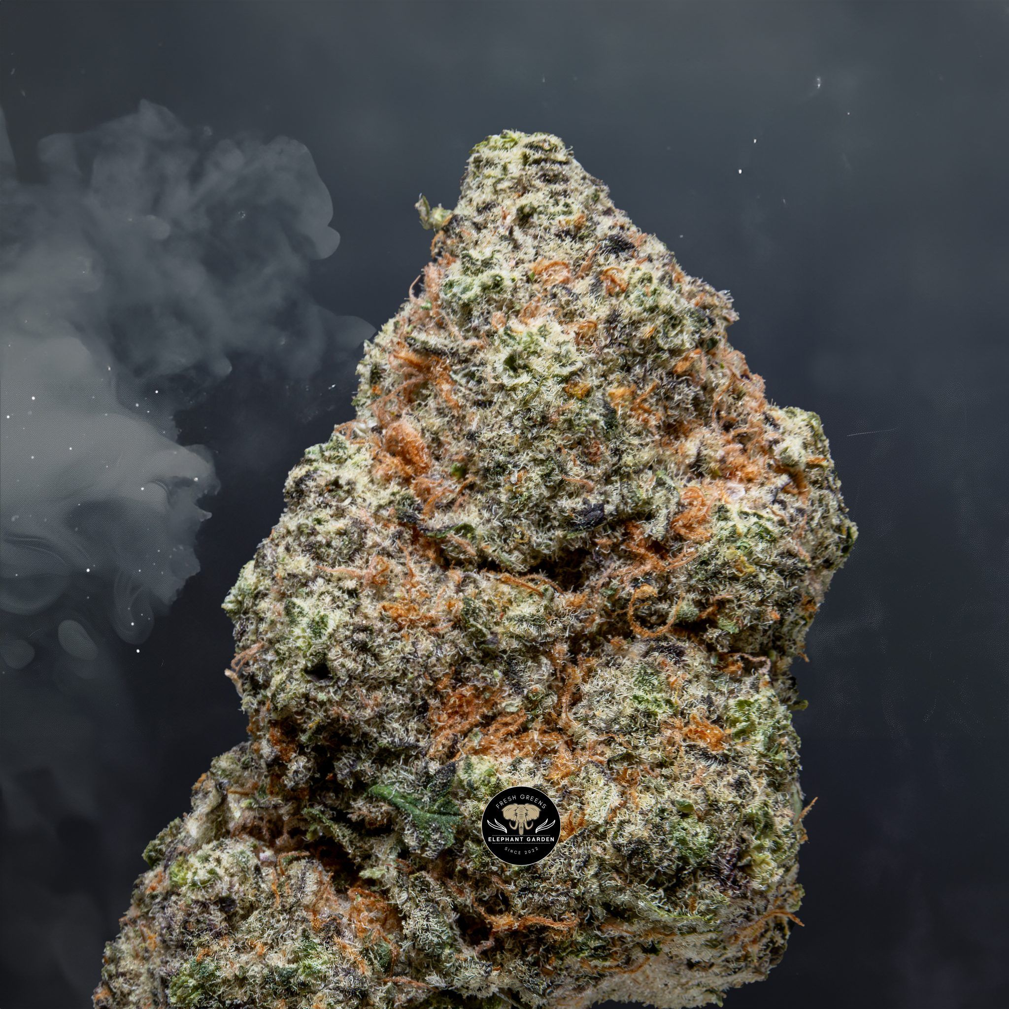 Buy Oreo at Elephant Garden Co Weed Dispensary Close 8 7 24 2