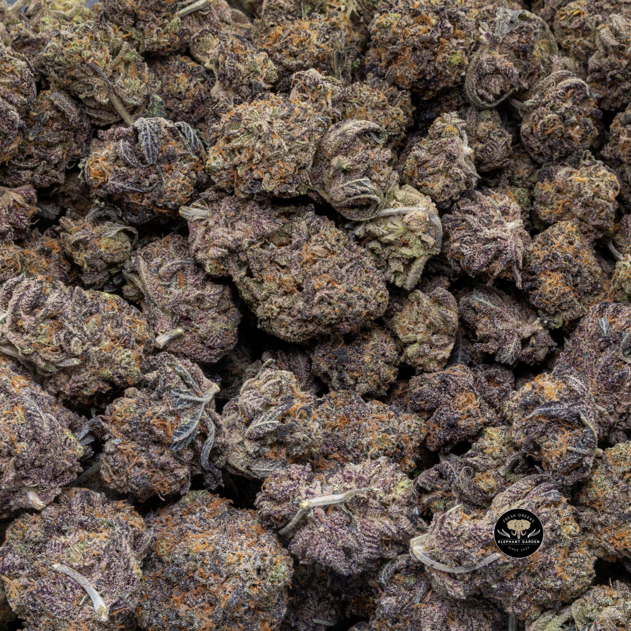 Buy Peanut Butter Cookies (Bulk) at Elephant Garden Co Weed Dispensary Close 5 16 2024