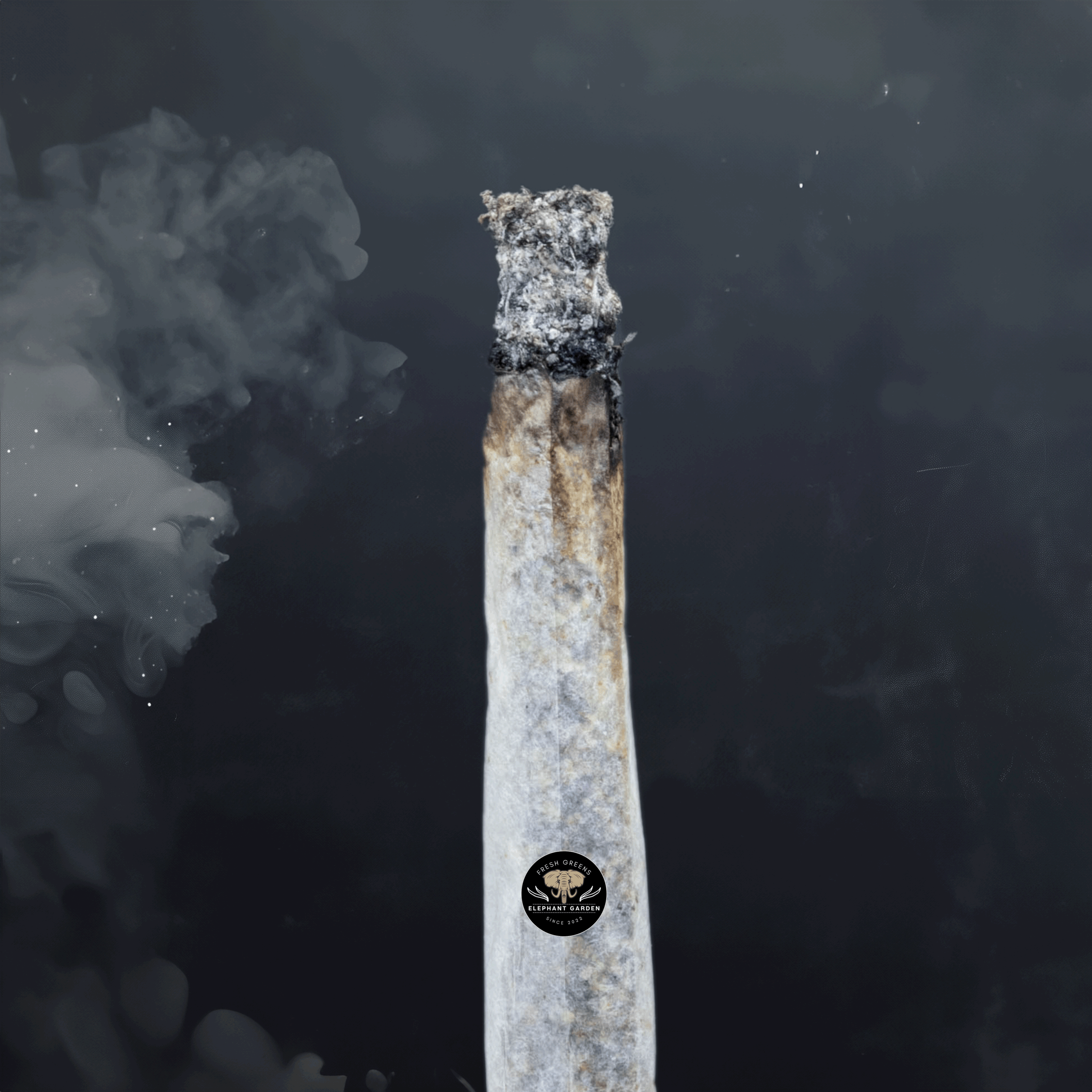 Buy Peanut Butter Cookies at Elephant Garden Co Weed Dispensary Burn Test 5 21 2024 2