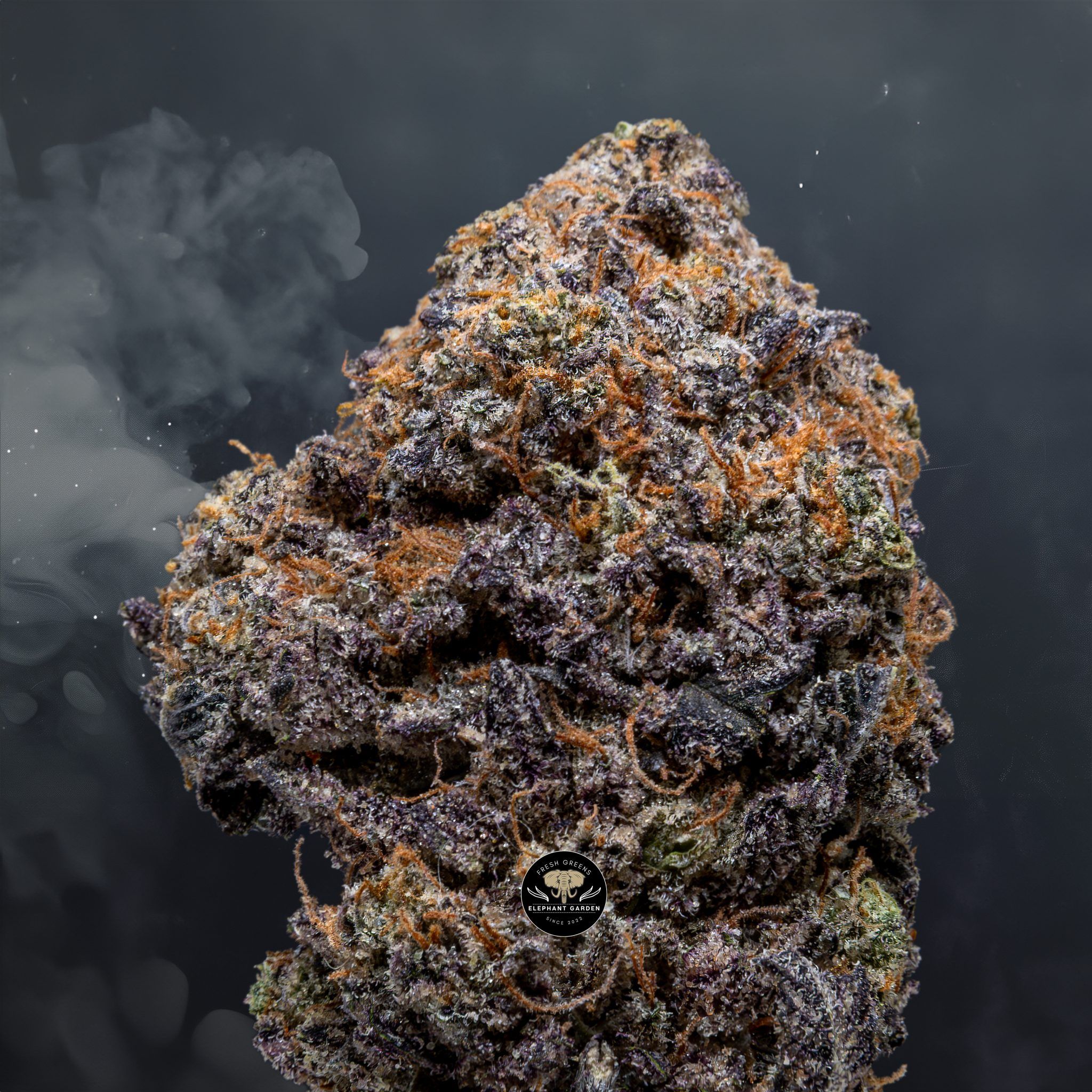 Buy Peanut Butter Cookies at Elephant Garden Co Weed Dispensary Close 5 21 24