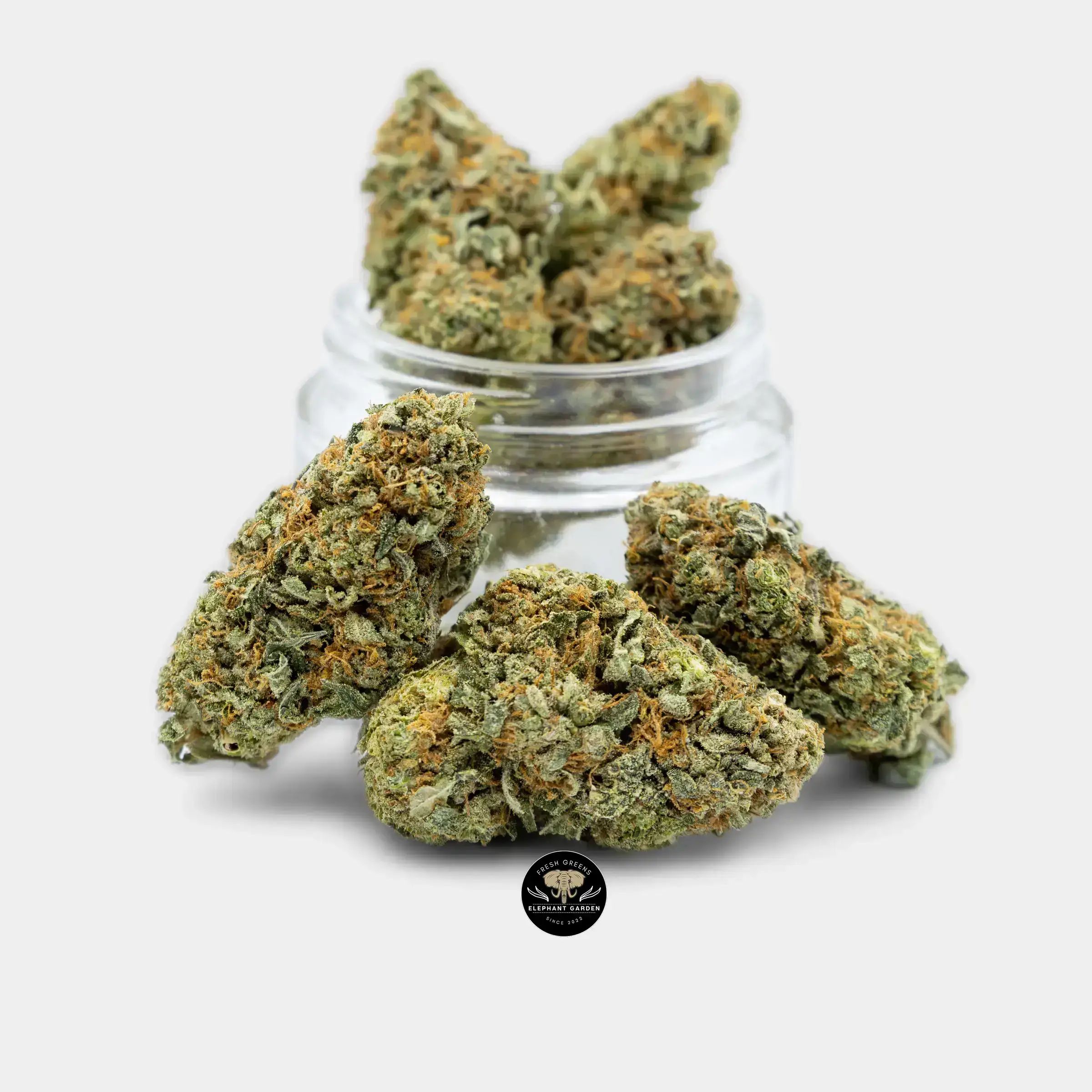 Buy Pineapple Cookies at Elephant Garden Co Weed Dispensary 9.6.2023