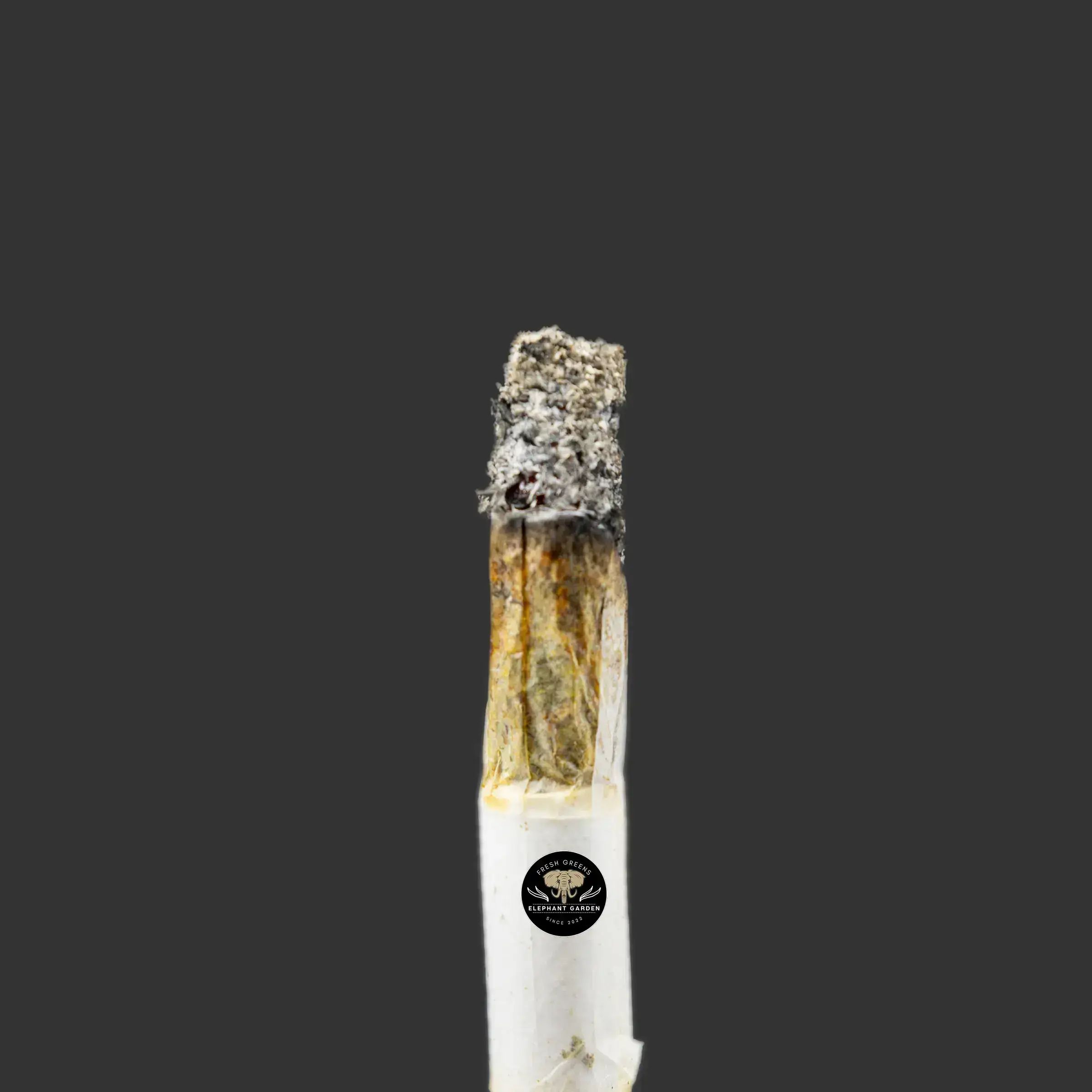 Buy Pineapple Cookies at Elephant Garden Co Weed Dispensary Burn Test 9.6.2023 2