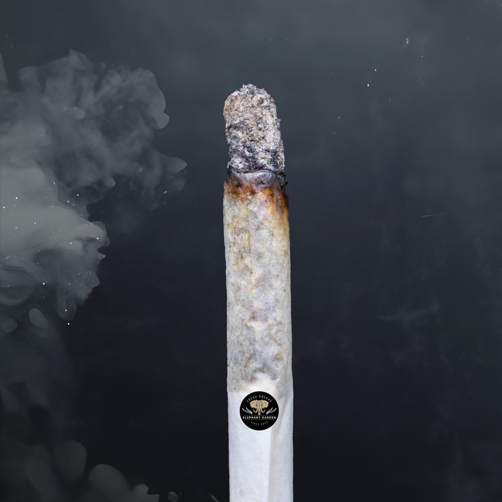 Buy Pink Death Star at Elephant Garden Co Weed Dispensary Burn Test 8 7 2024 2
