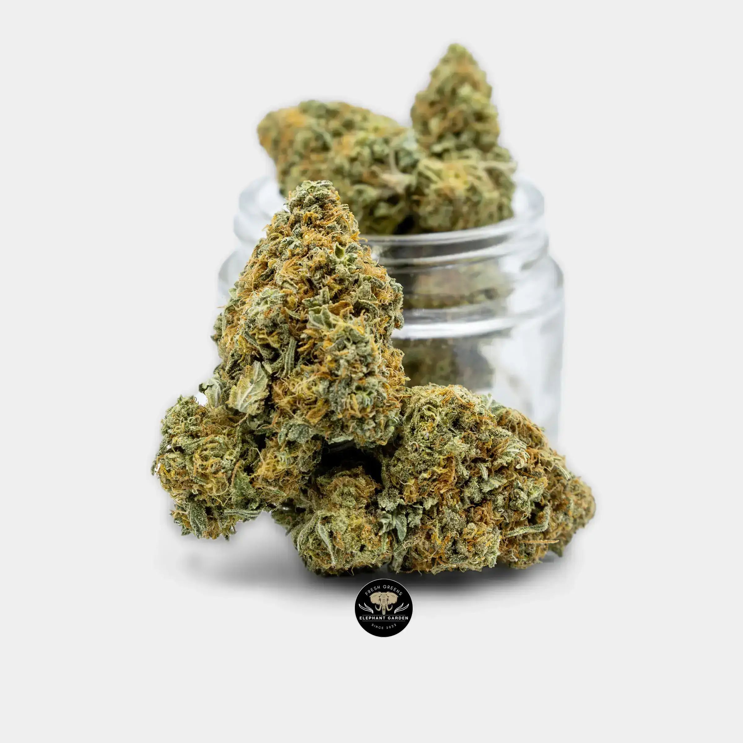 Buy Romulan at Elephant Garden Co Weed Dispensary 9.6.2023