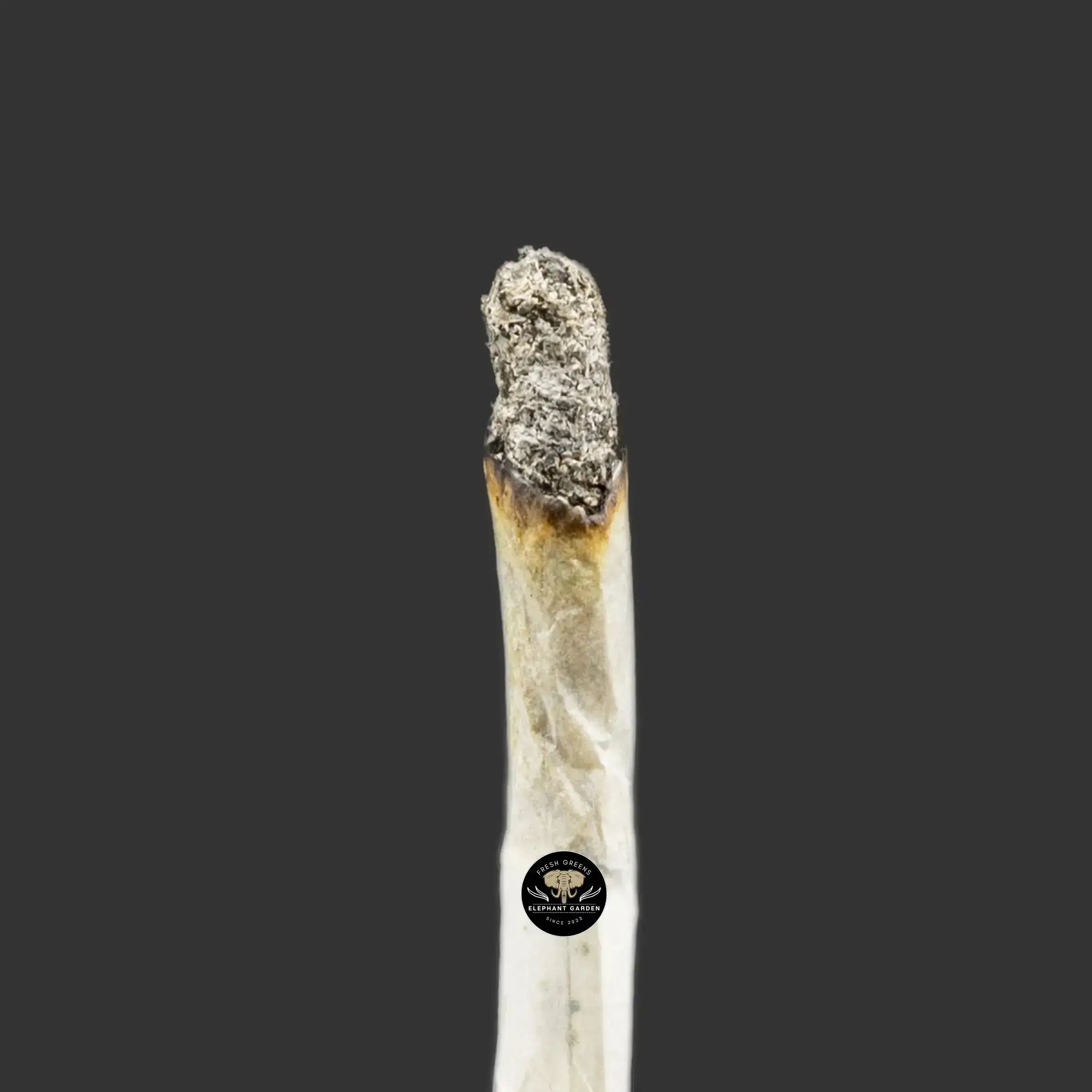 Buy Romulan at Elephant Garden Co Weed Dispensary Burn Test 9.6.2023 2