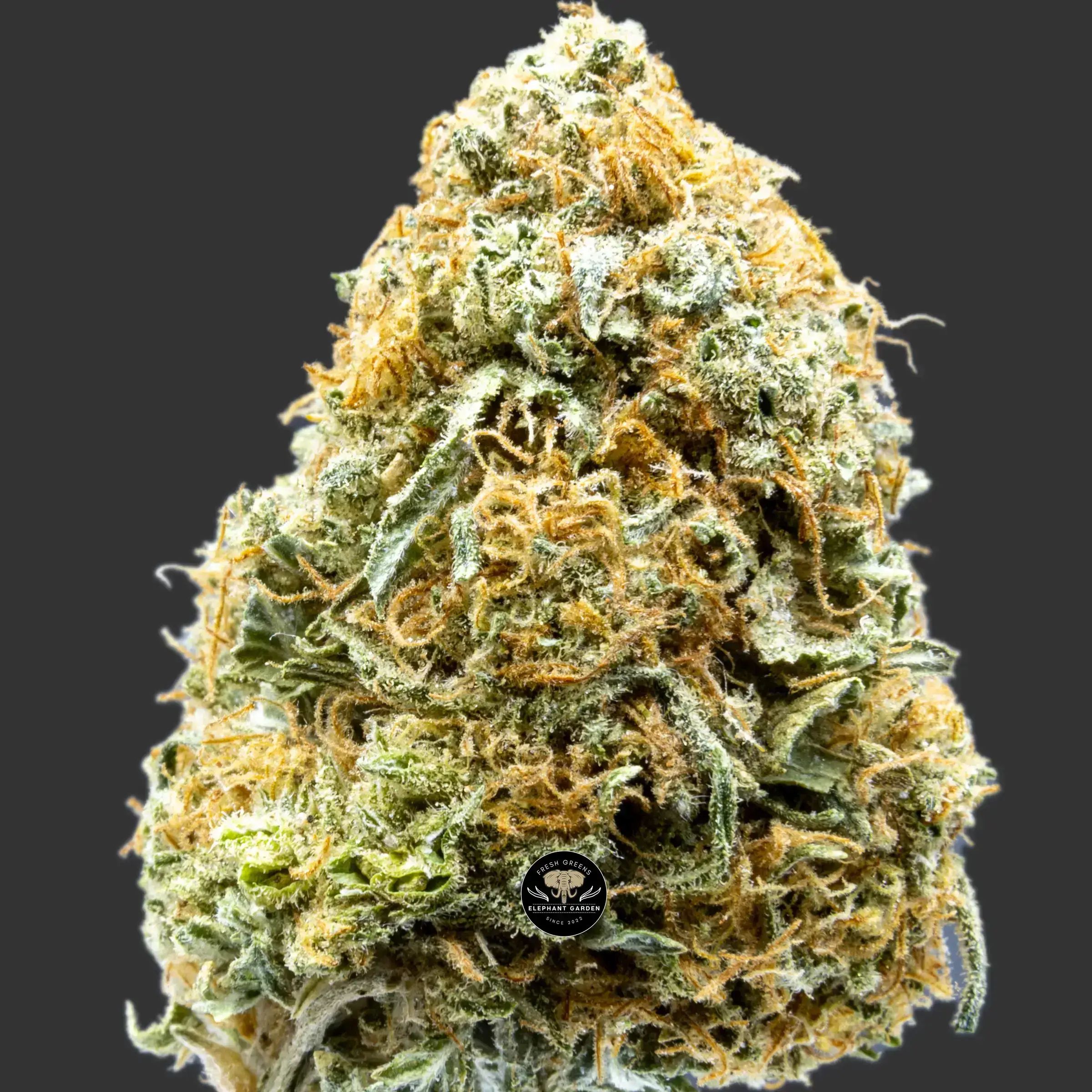 Buy Romulan at Elephant Garden Co Weed Dispensary Close 2 9.6.2023