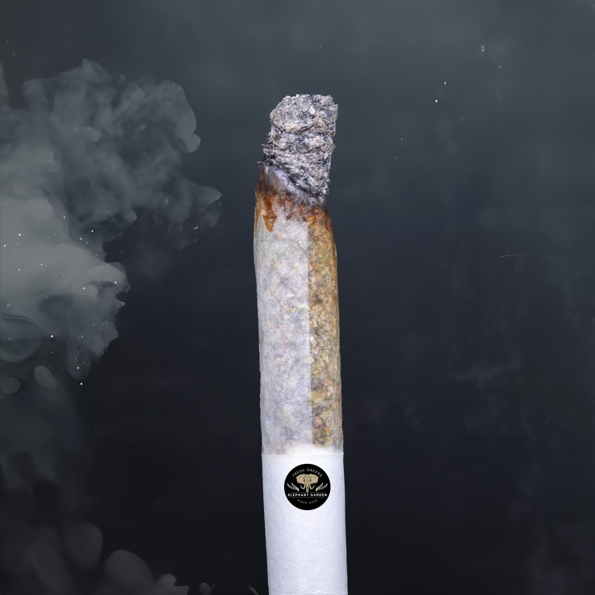 Buy Sunset Mac at Elephant Garden Co Weed Dispensary Burn Test 8 7 2024 3