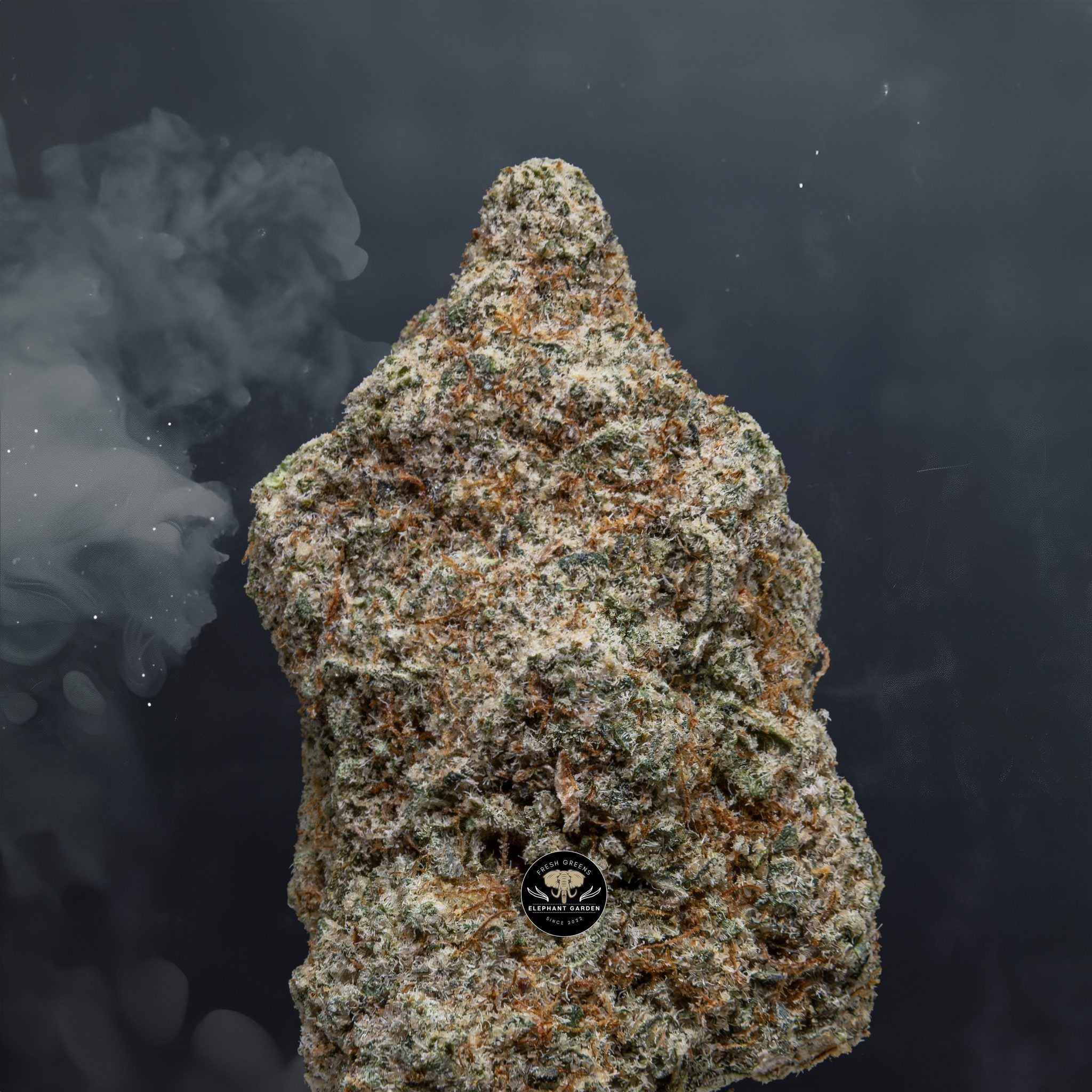 Buy Sunset Mac at Elephant Garden Co Weed Dispensary Close 8 7 24 2