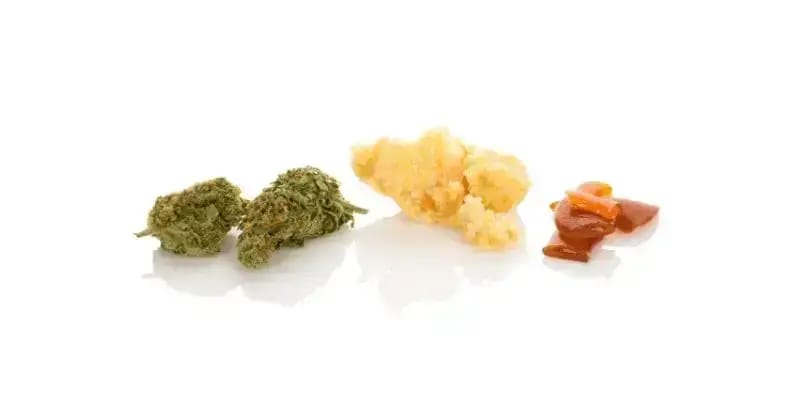 In this guide to live resin vs rosin, we've uncovered the facts about these two powerful concentrates and then compared them to cannabis caviar, the most luxurious of the bunch.