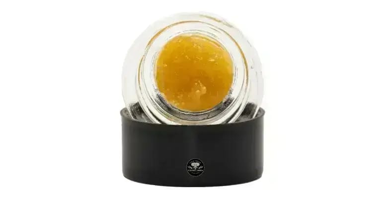 Death star strain is a hybrid Indica dominant strain that is a cross between Sensi star and Sour diesel.